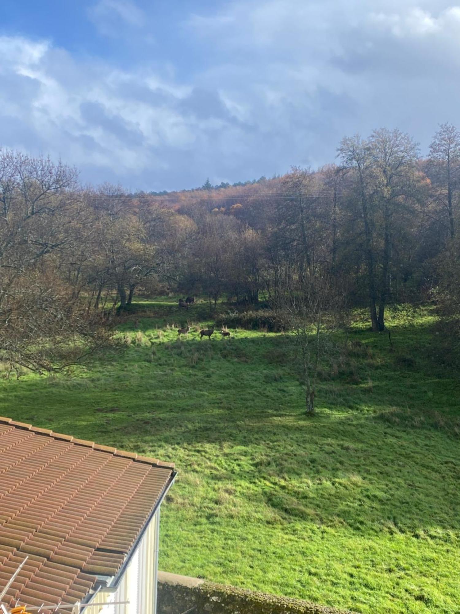 Apartament Casa Del Bosque Béjar Zewnętrze zdjęcie